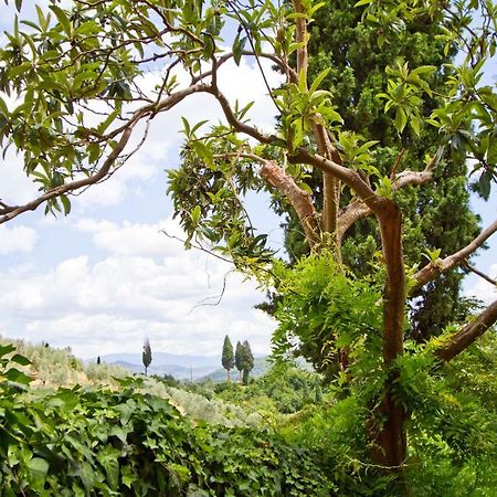Tuscan Sun Villa Флоренция Экстерьер фото