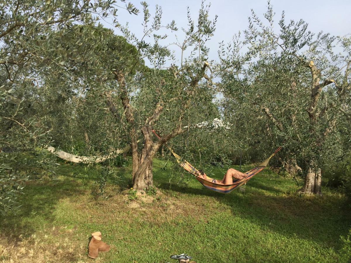 Tuscan Sun Villa Флоренция Экстерьер фото